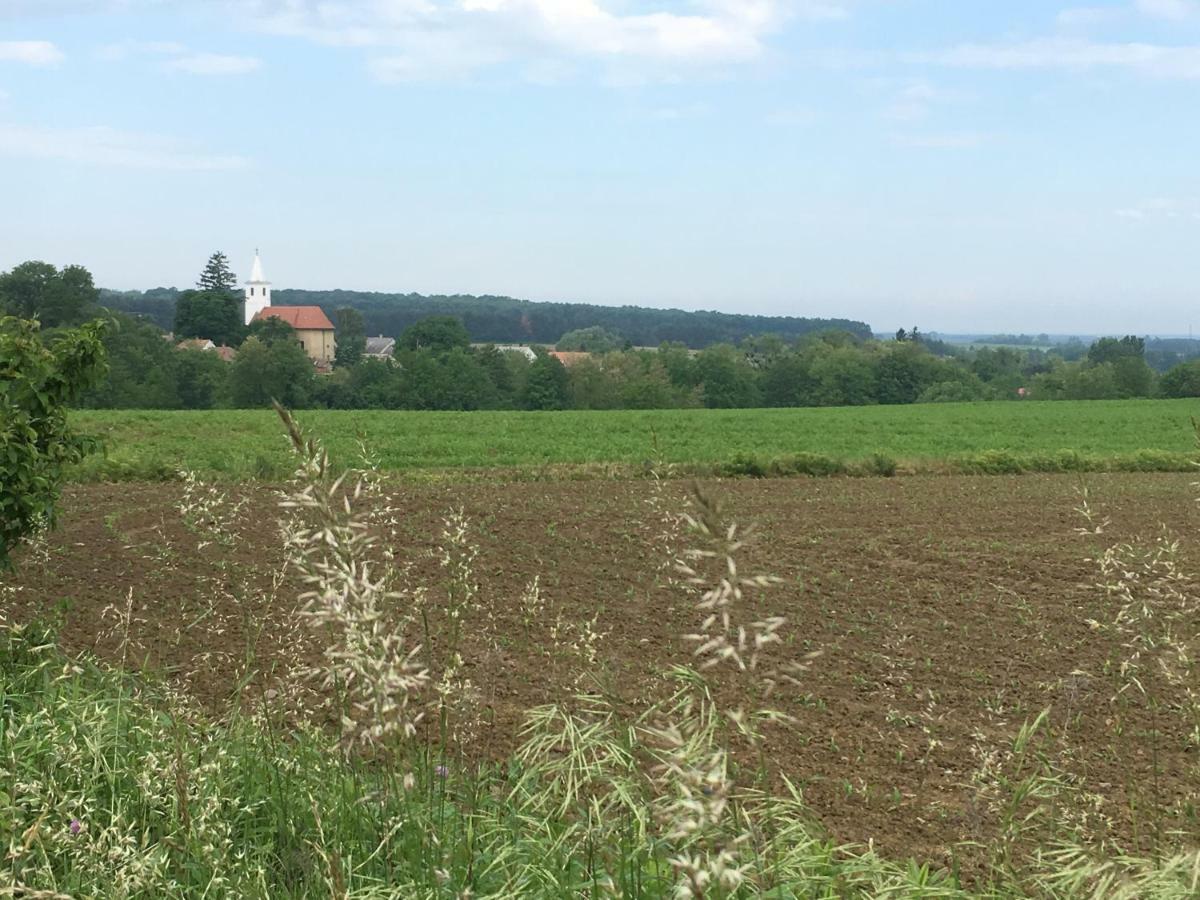 Oshaza Vendeghaz Appartement Bazsi Buitenkant foto